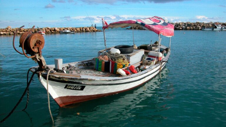 7 Signs You Need to Replace Roof or Canopy on Your Boat